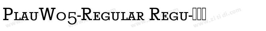 PlauW05-Regular Regu字体转换